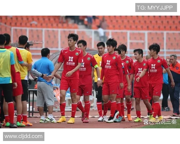 青岛足球明星阵容全解析揭示中国足球新星的崛起与发展