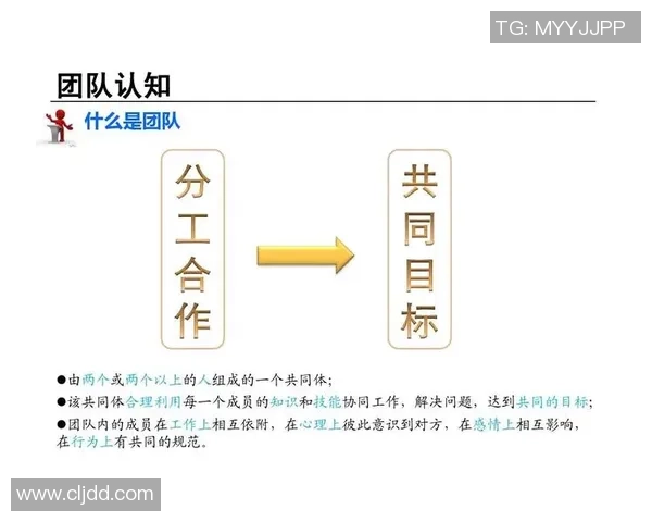 上海足球队团队协作能力大幅提升荣登全国足球团队协作排名新高