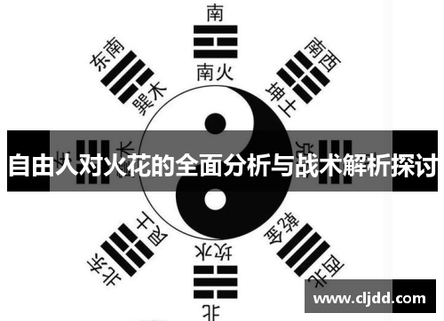 自由人对火花的全面分析与战术解析探讨