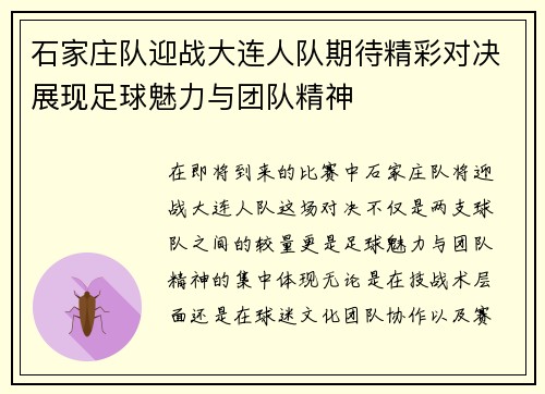石家庄队迎战大连人队期待精彩对决展现足球魅力与团队精神